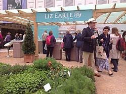 flower show 2