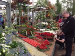 flower show 1