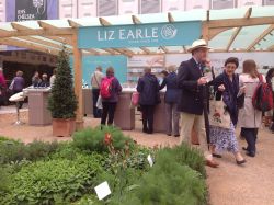 flower show 2