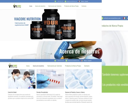 Viacore Website