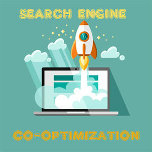 search_engine_cooptimization.jpg